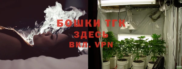 ГАЛЛЮЦИНОГЕННЫЕ ГРИБЫ Сафоново