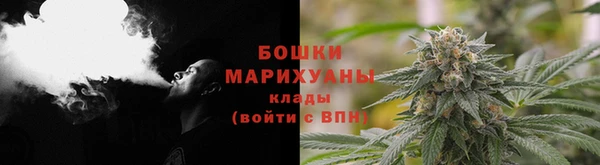 ГАЛЛЮЦИНОГЕННЫЕ ГРИБЫ Сафоново