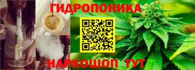 МДПВ Рыбинск