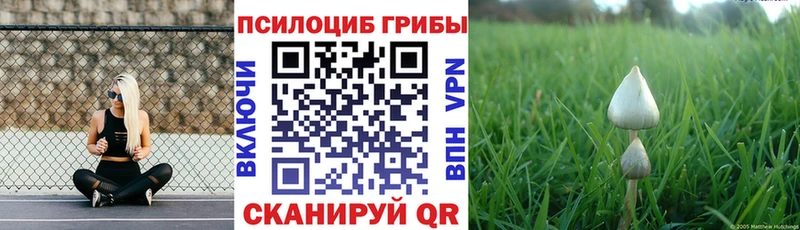 Псилоцибиновые грибы Magic Shrooms Рославль