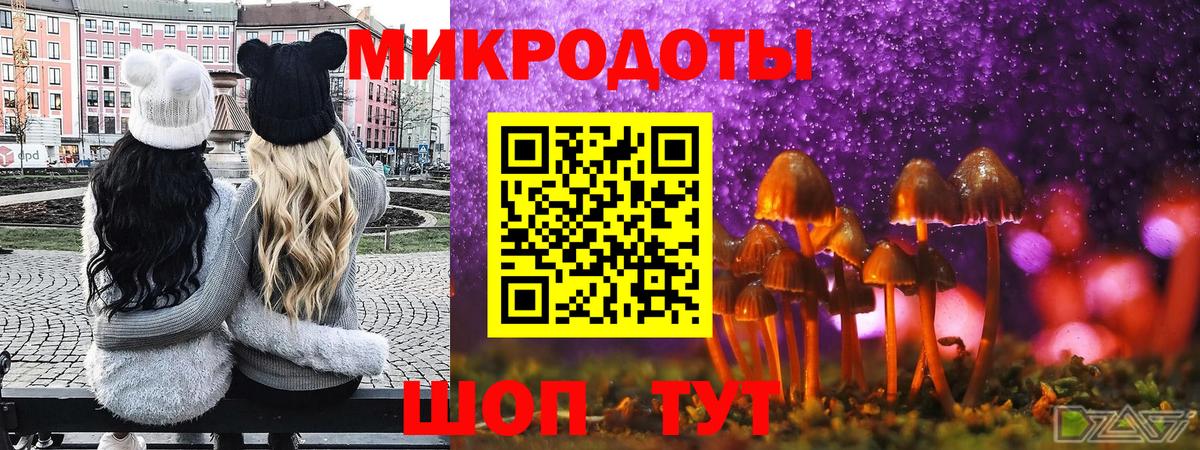 Псилоцибиновые грибы мицелий Рославль